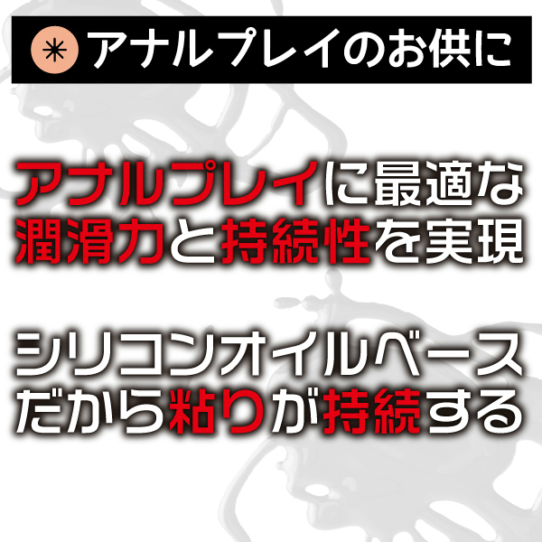 �o�k�`�x�l�`�s�d�@�������������i�v���C���C�g���[�V�����j�@�������@�`������