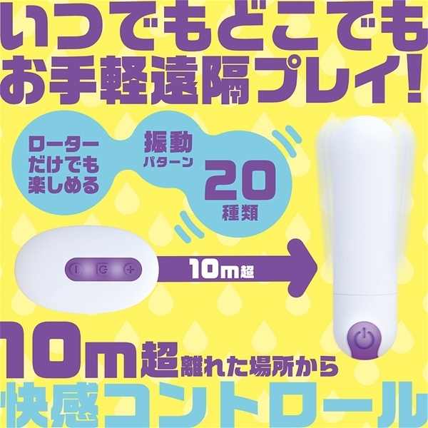 ��΃C�J���郍�[�^�[�@���S�h���@�����������������@�i�z���C�g�j