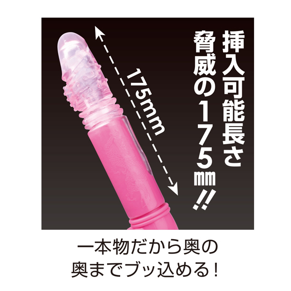 �w�������r�����������i�[�m�X�g���C�N�j�@�s���N