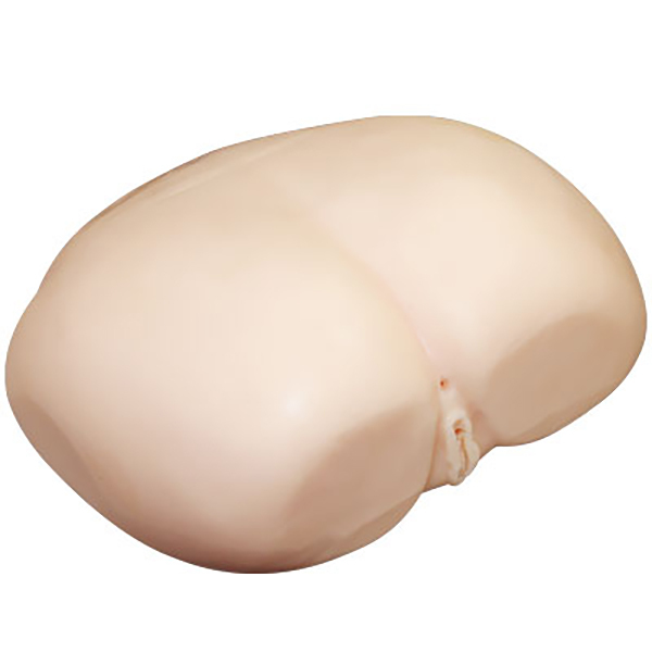 �y�R�O�S�O�O�~�����ʌ���z�ɏ㕑�̂��K������l�l�P�_���聄